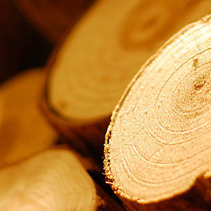 A new standard for tracing wood to sustainable sources is now in development