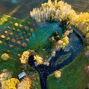 Aerial Drone Photography of a Pond Behind the House Surrounded with Beautiful Autumn Colors of the Fields and Forest