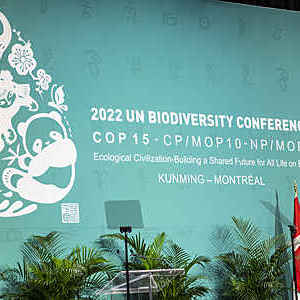 Biodiversity conference calls for standards action 